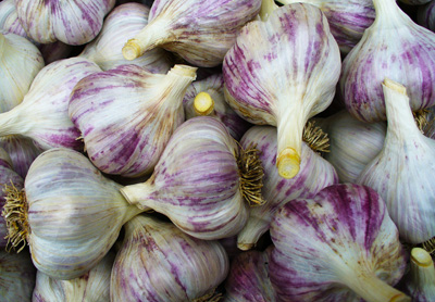 A box of Siberian garlic